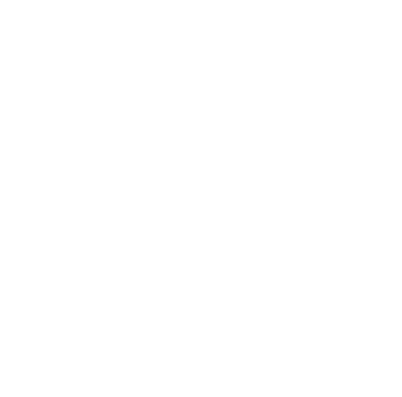 25 Jahre Erfahrung